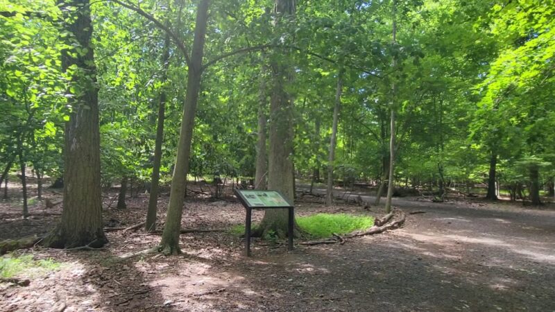 Mills Reservation - Cedar Grove, NJ