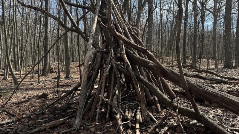 Mills Reservation - Cedar Grove, NJ