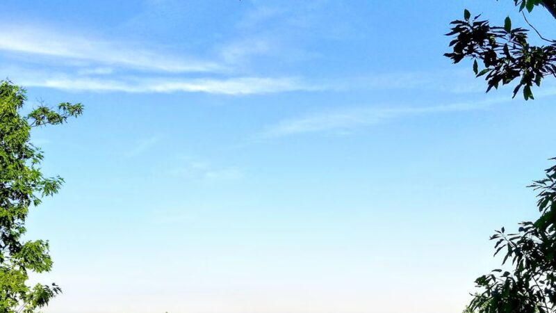 Mills Reservation - Cedar Grove, NJ