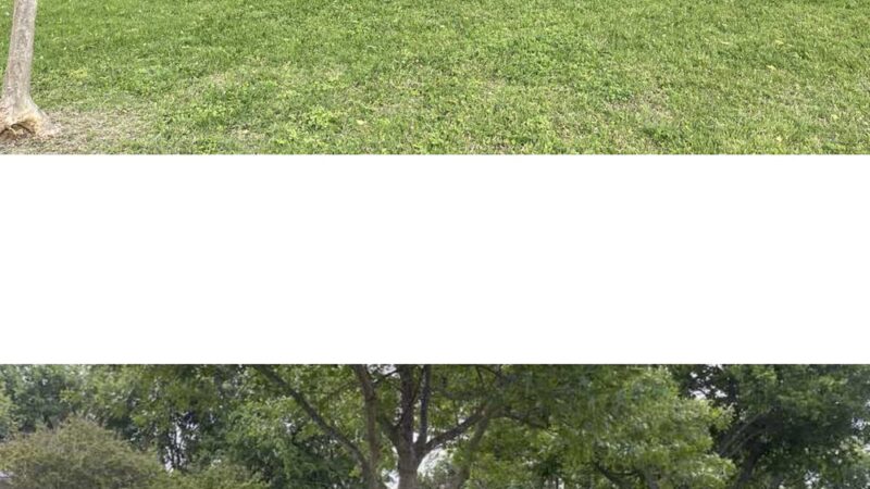 Furry Friends Field - Cedar Hill, TX