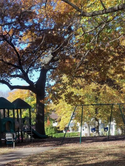 Anderson Park - Cedar Rapids, IA