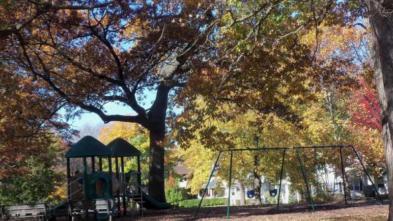 Anderson Park - Cedar Rapids, IA
