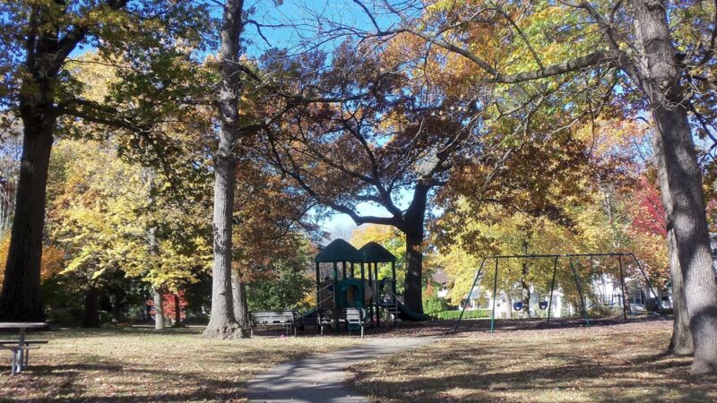 Anderson Park - Cedar Rapids, IA