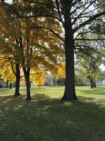 Apache Park - Cedar Rapids, IA