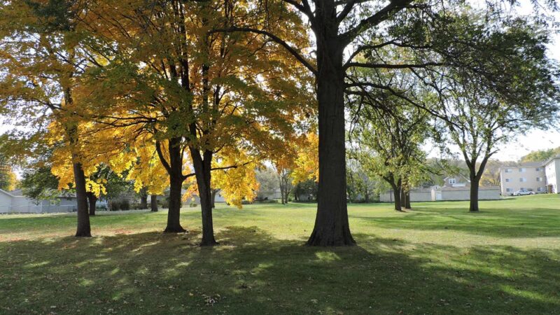 Apache Park - Cedar Rapids, IA