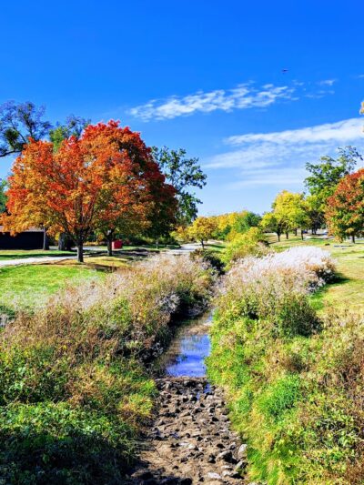 Cherokee Park - Cedar Rapids, IA