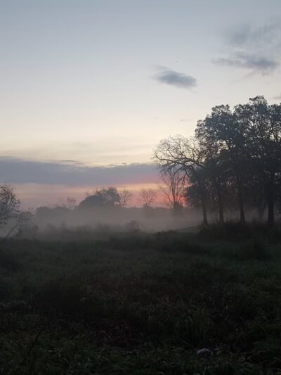 Cherokee Park - Cedar Rapids, IA