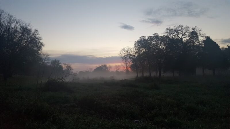 Cherokee Park - Cedar Rapids, IA