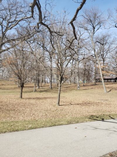 Daniels Park - Cedar Rapids, IA