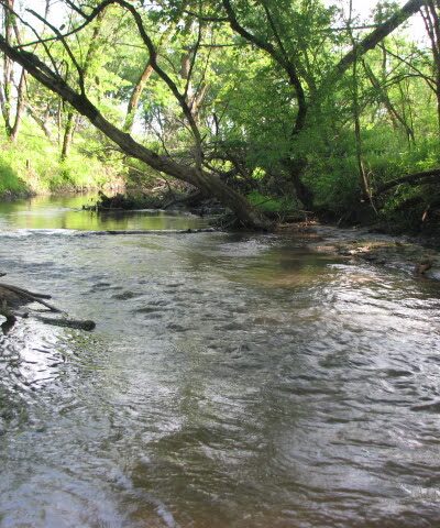 Morgan Creek Park - Cedar Rapids, IA