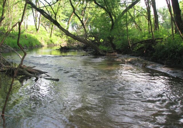 Morgan Creek Park - Cedar Rapids, IA