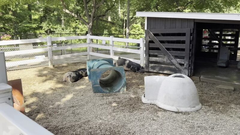 Old MacDonald's Farm - Cedar Rapids, IA