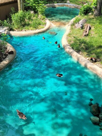 Old MacDonald's Farm - Cedar Rapids, IA