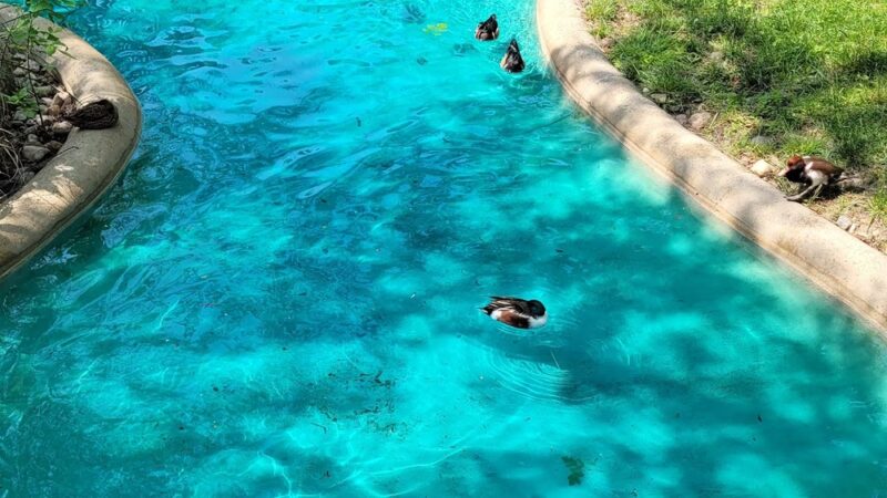 Old MacDonald's Farm - Cedar Rapids, IA