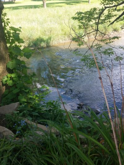 Papoose Park - Cedar Rapids, IA