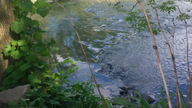 Papoose Park - Cedar Rapids, IA