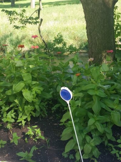 Papoose Park - Cedar Rapids, IA