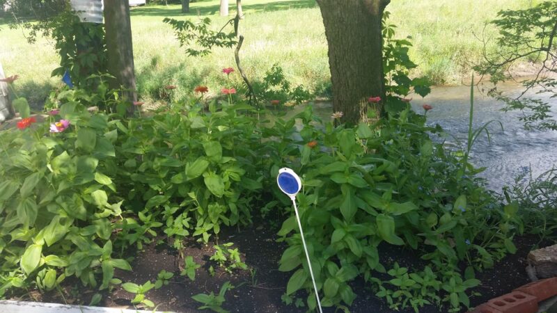 Papoose Park - Cedar Rapids, IA