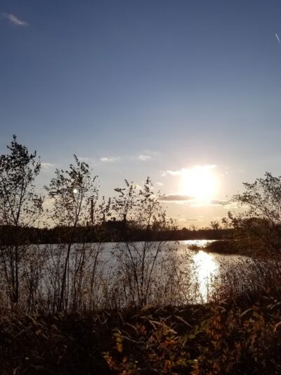 Prairie Park Fishery Trail/Sac and Fox Trail Fork - Cedar Rapids, IA