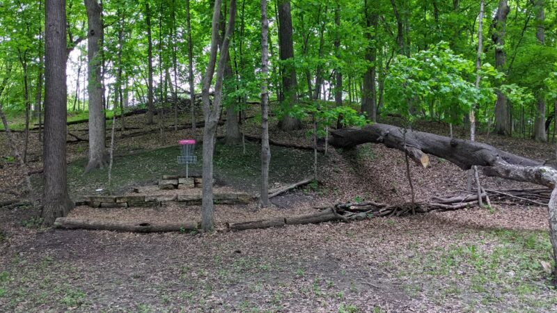 Shaver Park - Cedar Rapids, IA