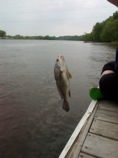 Time Check Park - Cedar Rapids, IA