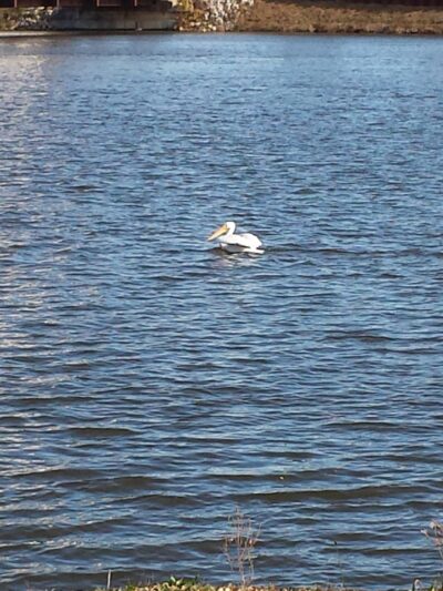 Time Check Park - Cedar Rapids, IA