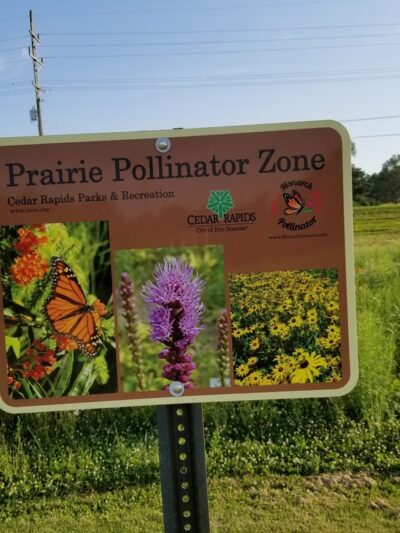 Wilderness Estates Community Park - Cedar Rapids, IA