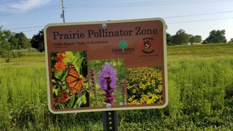 Wilderness Estates Community Park - Cedar Rapids, IA