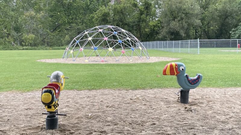 Cedar Springs Dog Park (in Riggle Park) - Cedar Springs, MI