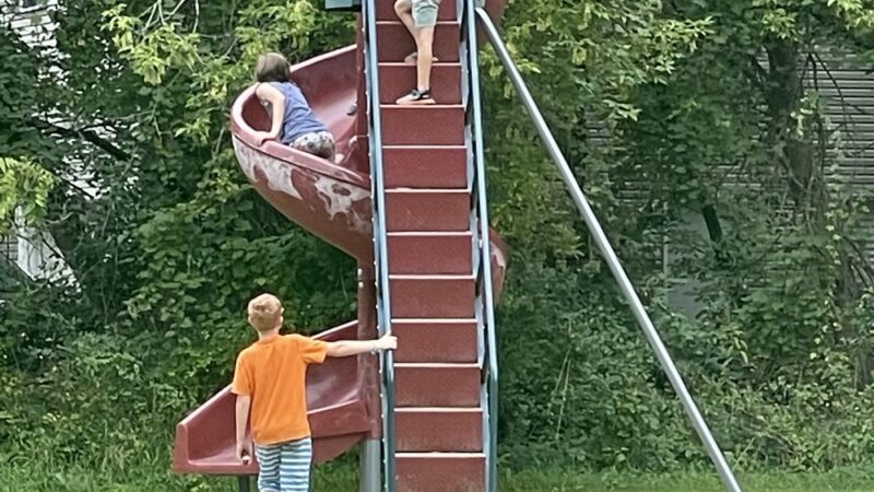 Cedar Springs Dog Park (in Riggle Park) - Cedar Springs, MI