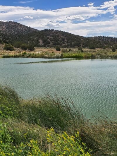 Fuell's Pond - Cedar Valley, UT