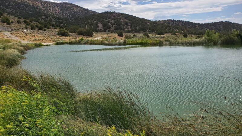 Fuell's Pond - Cedar Valley, UT