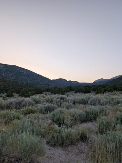 Fuell's Pond - Cedar Valley, UT