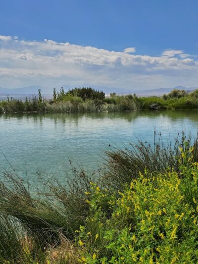 Fuell's Pond - Cedar Valley, UT