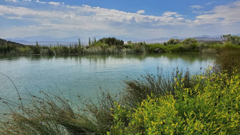 Fuell's Pond - Cedar Valley, UT
