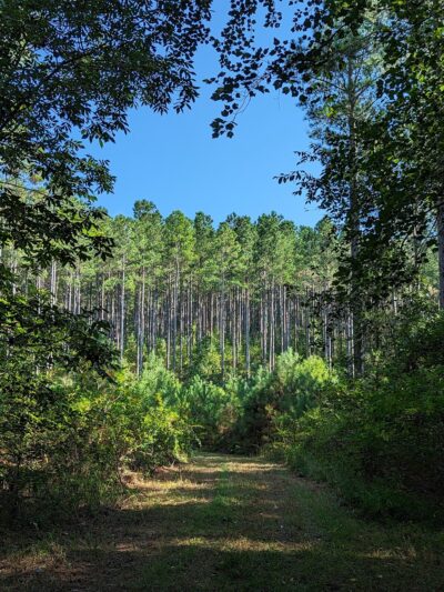 Esom Hill Trailhead - Cedartown, GA