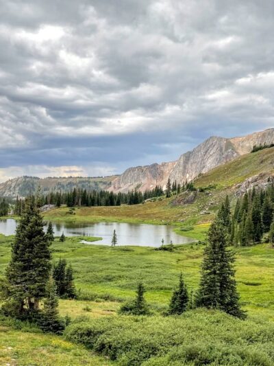The Snowy Range - Centennial, WY