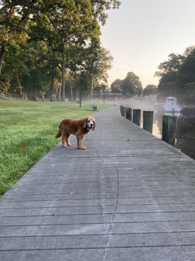 Neville Park - Center Moriches, NY
