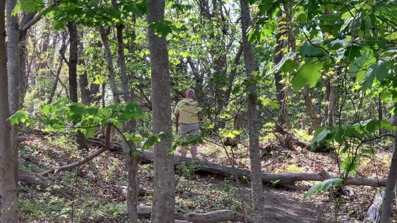Terrell River County Park - Center Moriches, NY