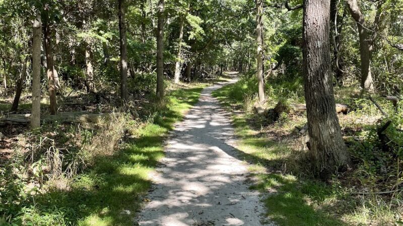 Terrell River County Park - Center Moriches, NY