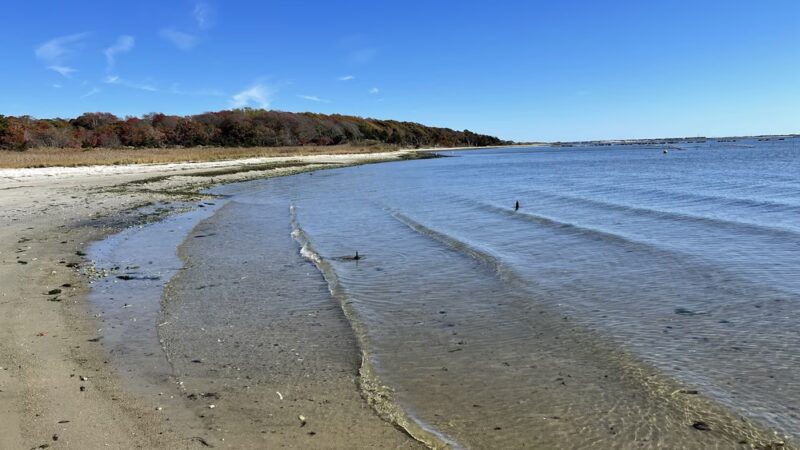 Terrell River County Park - Center Moriches, NY
