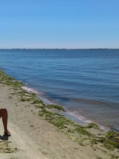 Webby's Beach: Town Of Brookhaven - Center Moriches, NY