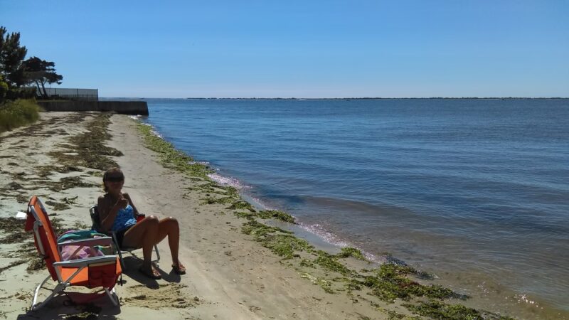 Webby's Beach: Town Of Brookhaven - Center Moriches, NY