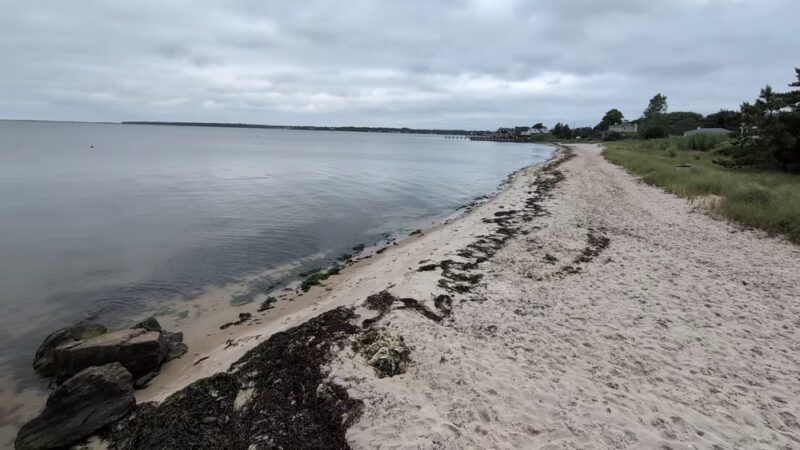 Webby's Beach: Town Of Brookhaven - Center Moriches, NY