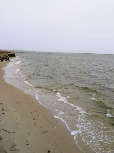 Webby's Beach: Town Of Brookhaven - Center Moriches, NY