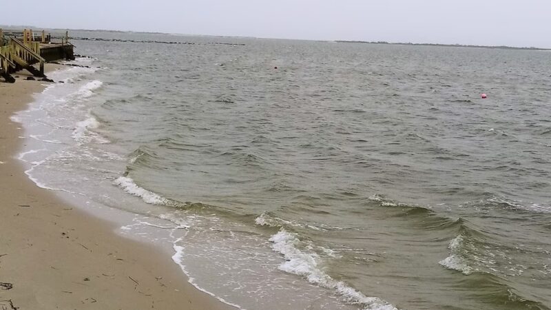 Webby's Beach: Town Of Brookhaven - Center Moriches, NY
