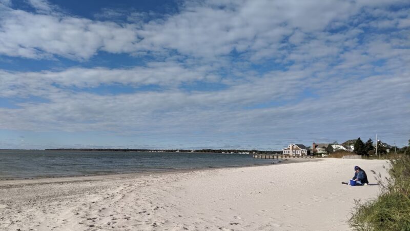 Webby's Beach: Town Of Brookhaven - Center Moriches, NY