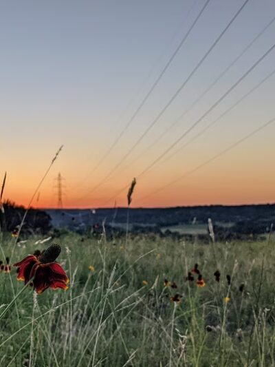 Center Point - Center Point, TX