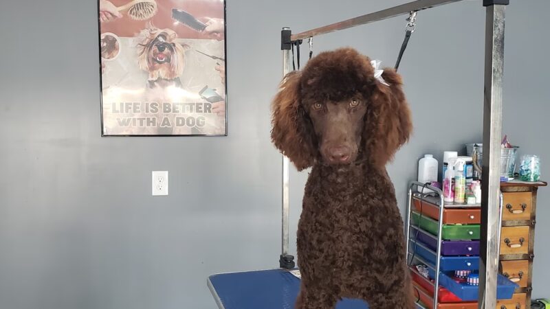 Sherry's Country Style Grooming - Central City, KY