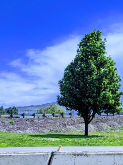Glengrove Wayside Park - Central Point, OR
